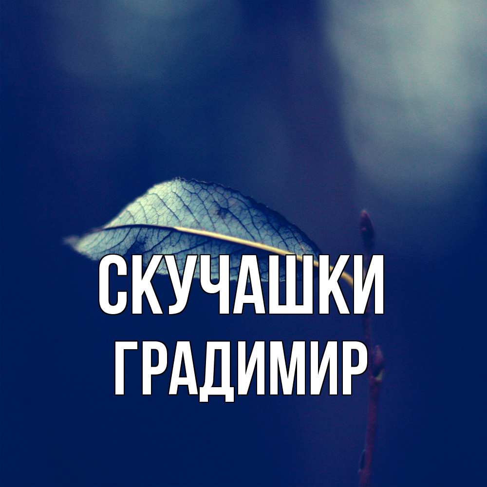 Открытка на каждый день с именем, Градимир Скучашки одна ветка 1 Прикольная открытка с пожеланием онлайн скачать бесплатно 