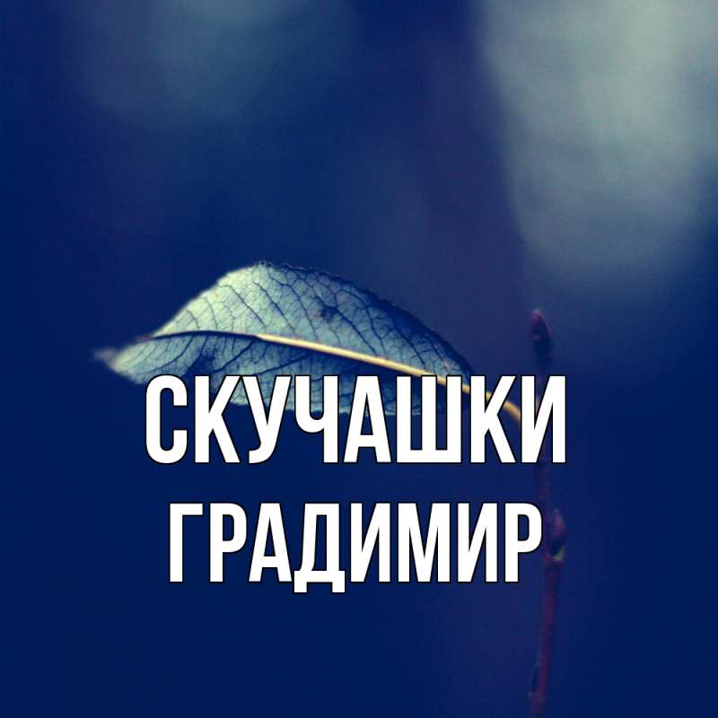 Картинка Скучашки, Градимир