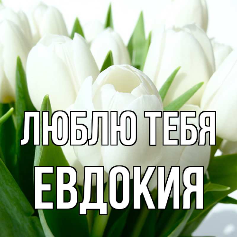 Картинка Люблю тебя, Евдокия