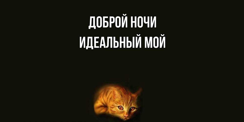 Открытка на каждый день с именем, Идеальный-мой Доброй ночи кот Прикольная открытка с пожеланием онлайн скачать бесплатно 