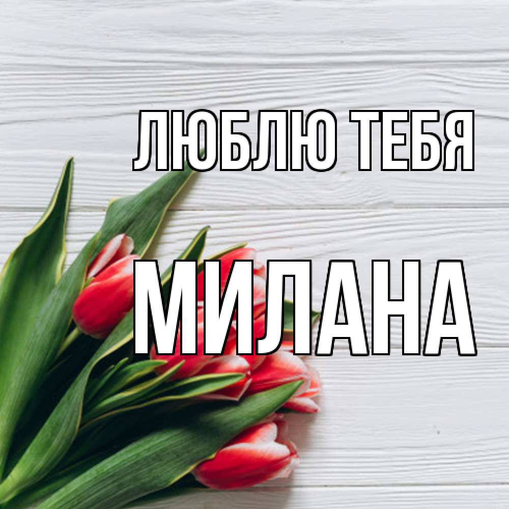 Открытка на каждый день с именем, Милана Люблю тебя весна 2 Прикольная открытка с пожеланием онлайн скачать бесплатно 