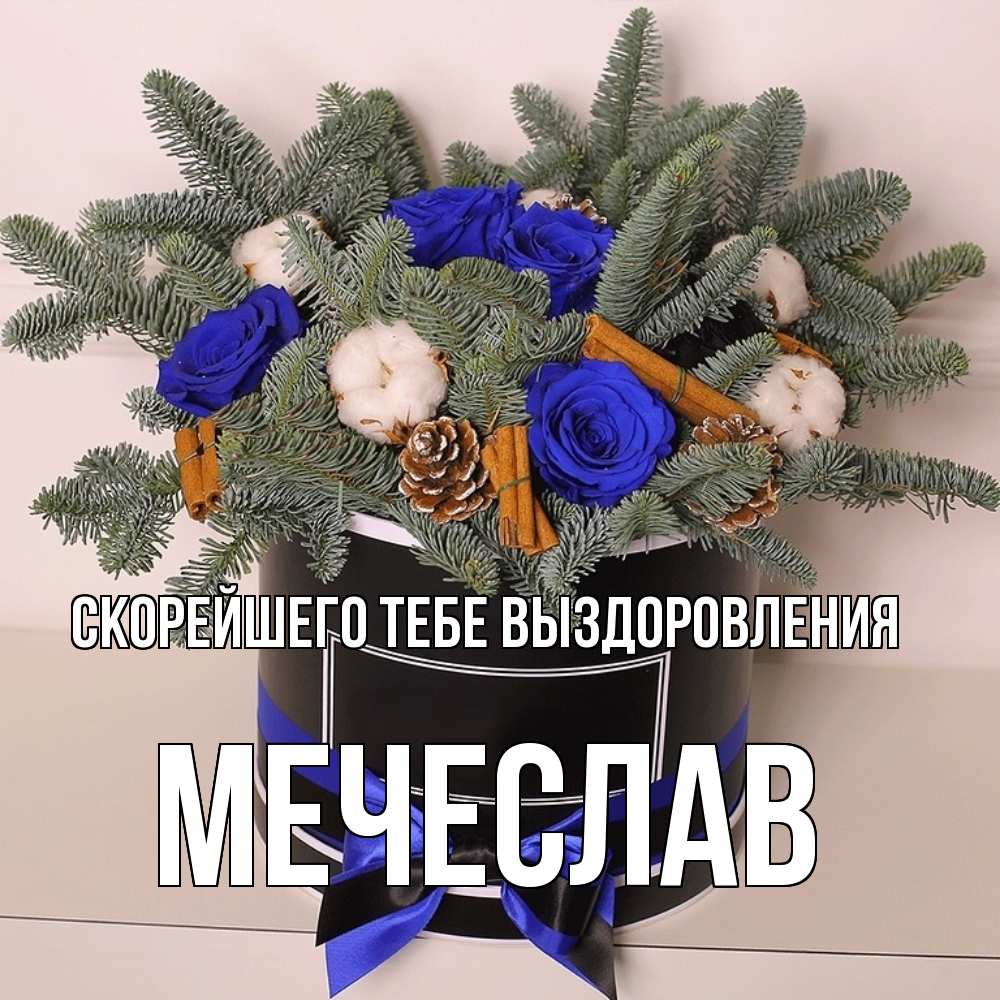 Открытка на каждый день с именем, Мечеслав Скорейшего тебе выздоровления короче кто то загрузил эти шишки Прикольная открытка с пожеланием онлайн скачать бесплатно 