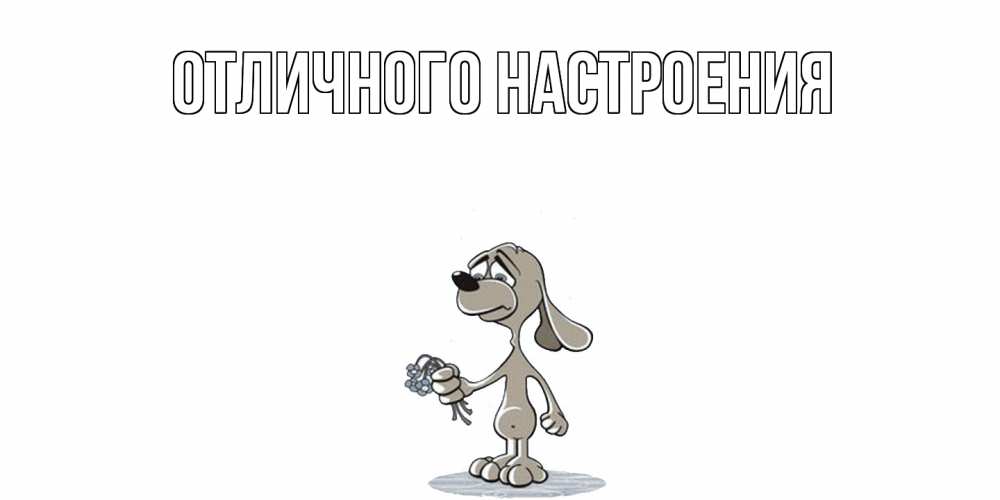 Открытка на каждый день с именем, Альберта Не обижайся открытка прости меня серый пес Прикольная открытка с пожеланием онлайн скачать бесплатно 