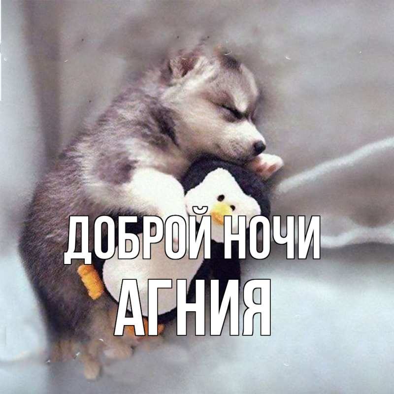 Картинка Доброй ночи, Агния