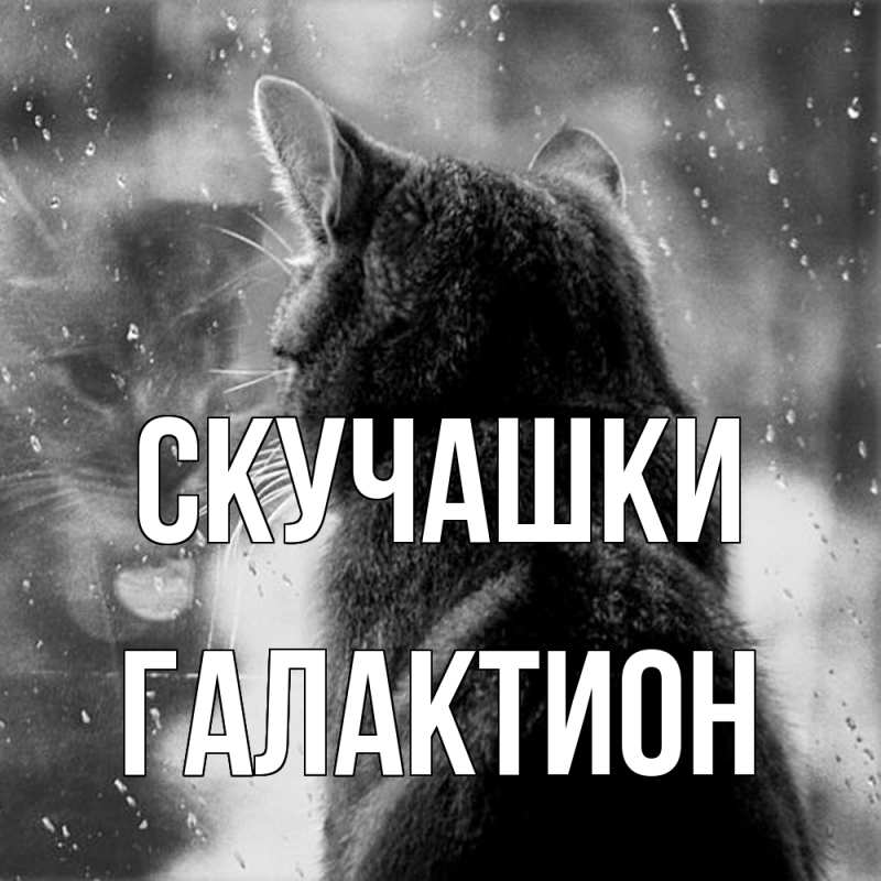 Картинка Скучашки, Галактион