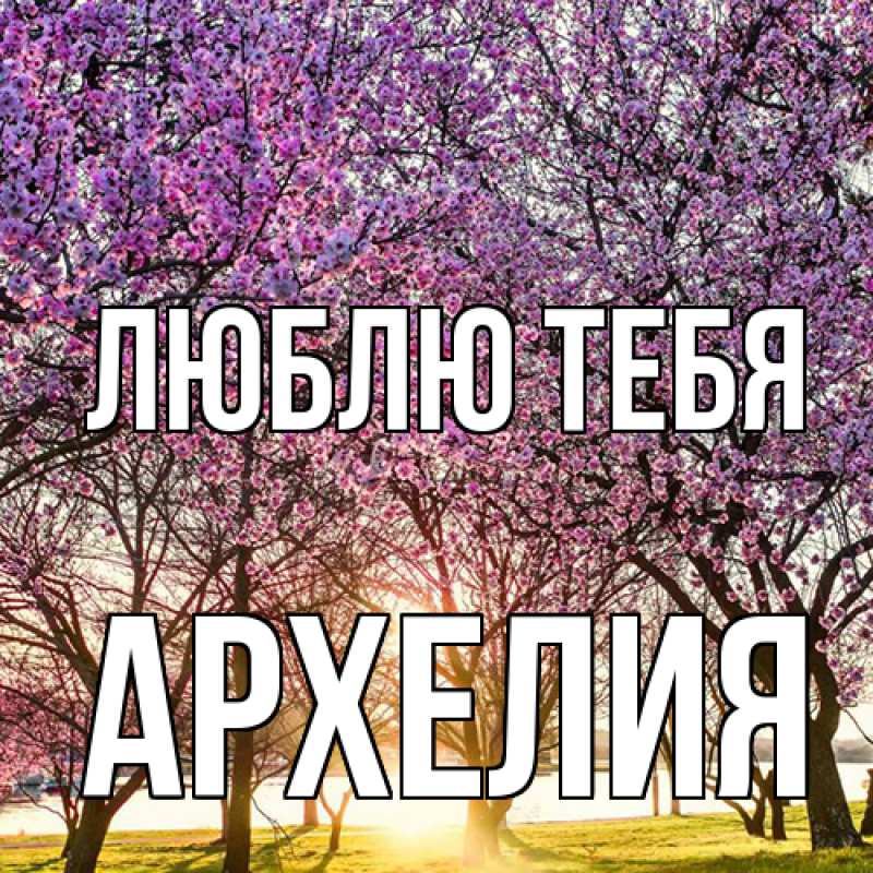 Картинка Люблю тебя, Архелия