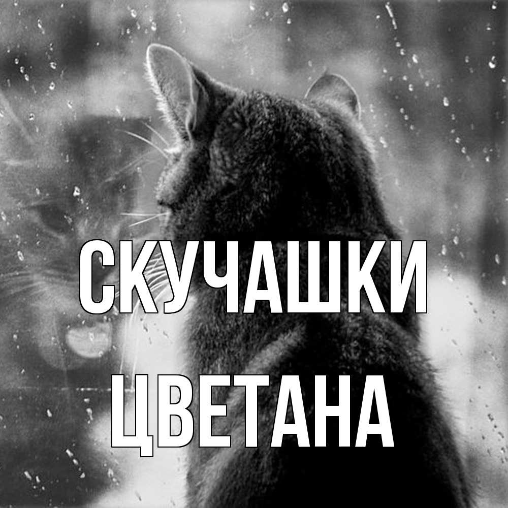 Открытка на каждый день с именем, Цветана Скучашки скорее ко мне приходи 1 Прикольная открытка с пожеланием онлайн скачать бесплатно 