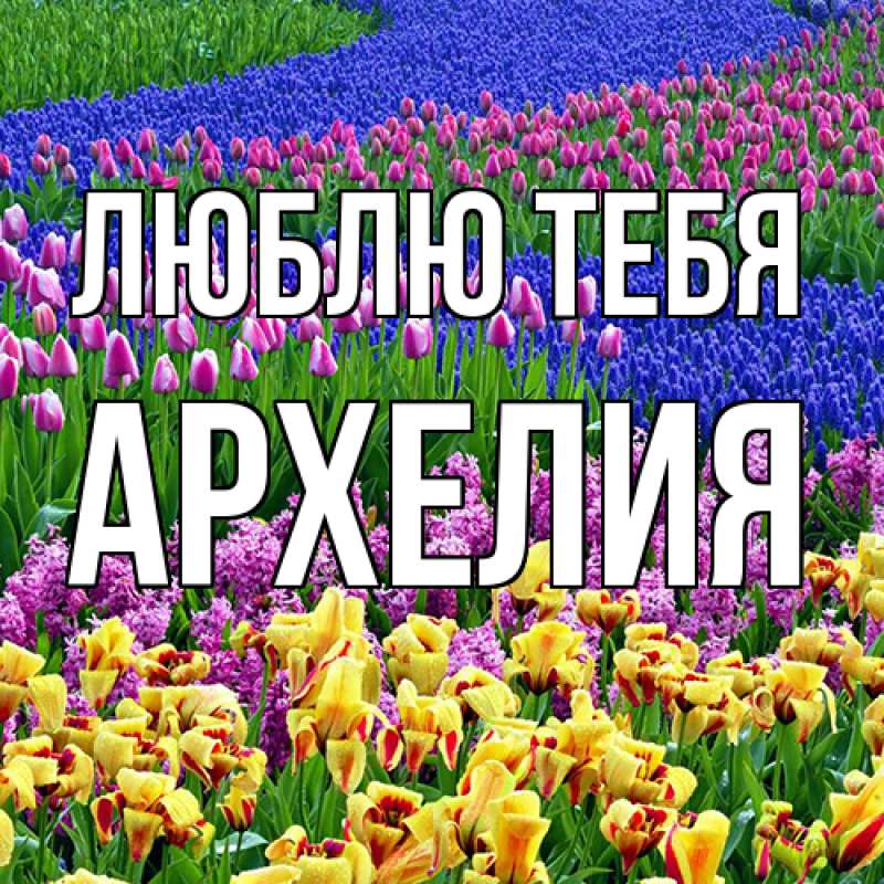 Картинка Люблю тебя, Архелия