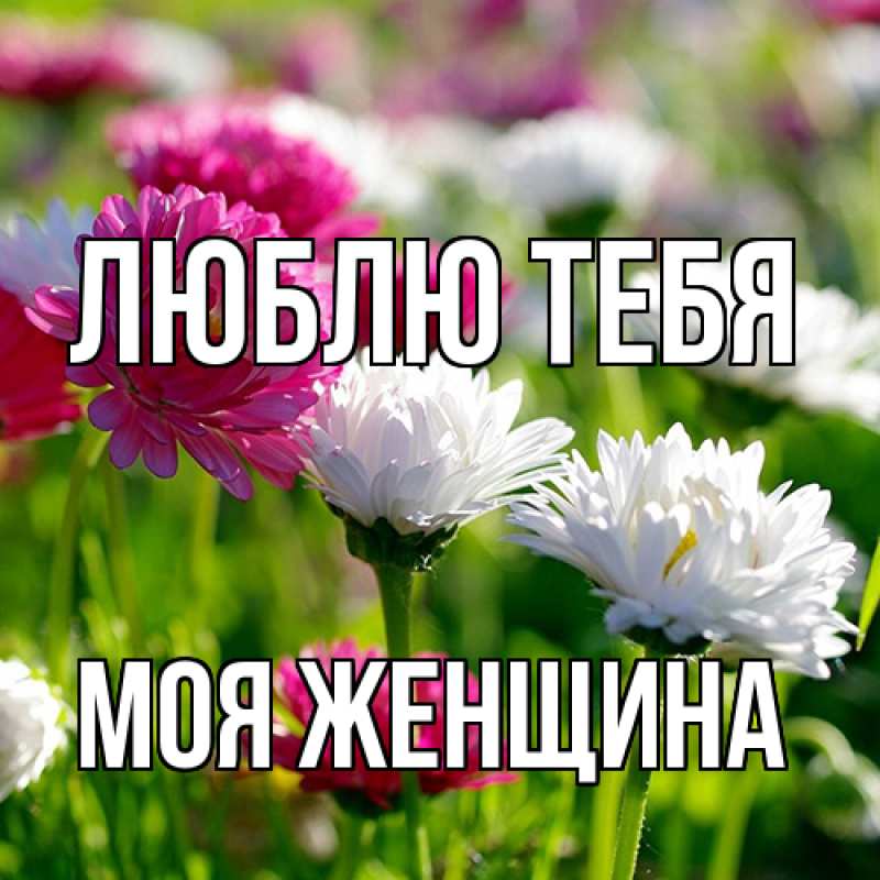 Картинка Люблю тебя, Моя женщина