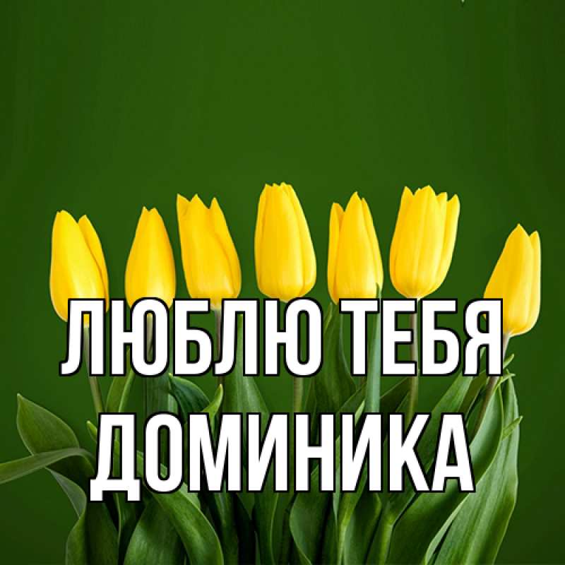Картинка Люблю тебя, Доминика