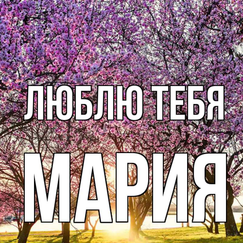 Картинка Люблю тебя, Мария