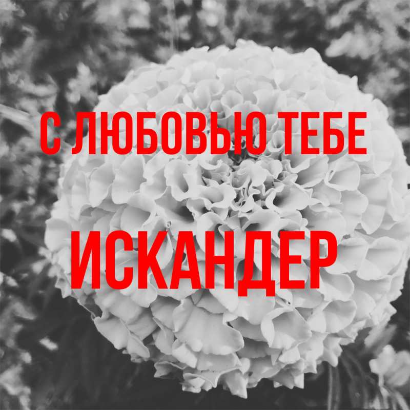 Картинка С любовью тебе, Искандер