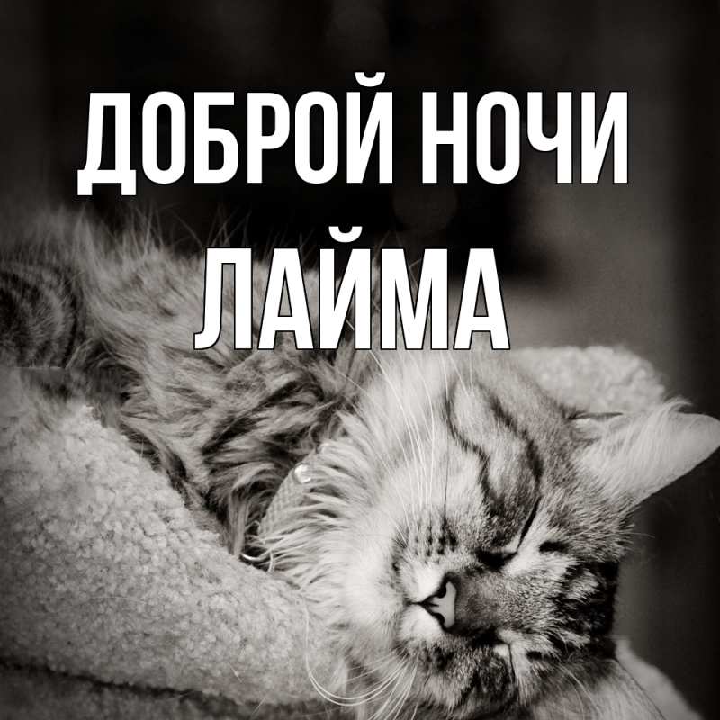 Картинка Доброй ночи, Лайма