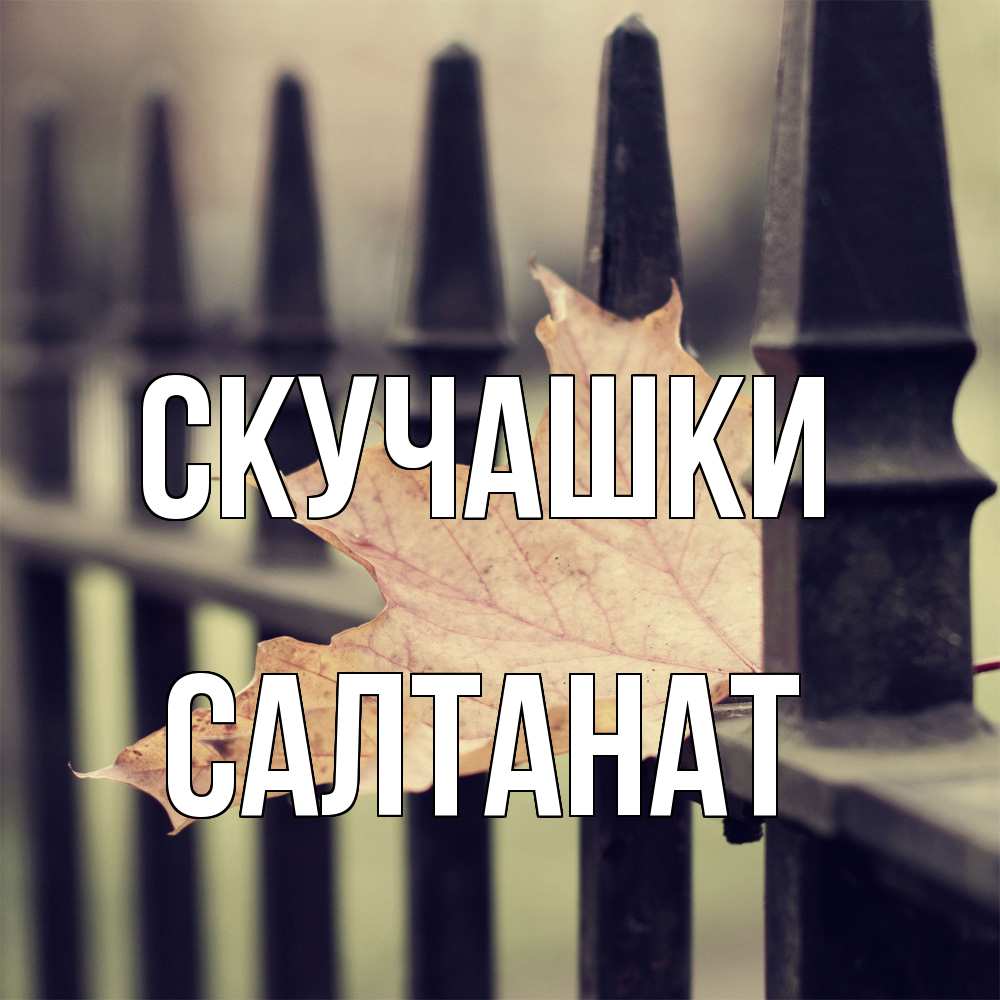 Открытка на каждый день с именем, Салтанат Скучашки очень скучно Прикольная открытка с пожеланием онлайн скачать бесплатно 