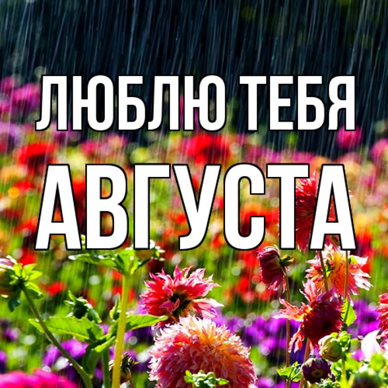 Картинка Люблю тебя, Августа