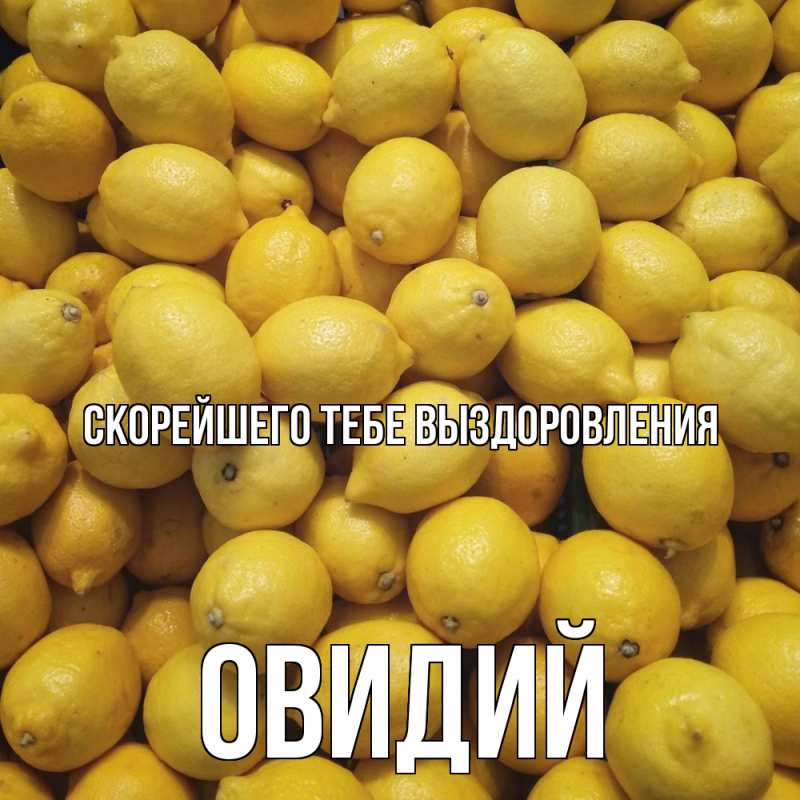 Картинка Скорейшего тебе выздоровления, Овидий