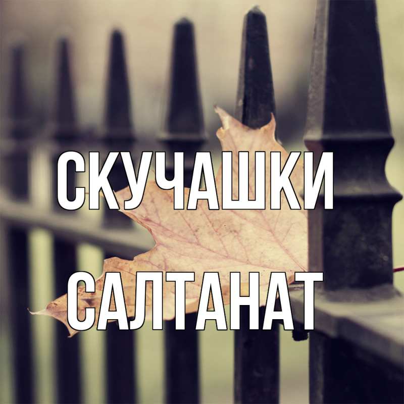 Картинка Скучашки, Салтанат