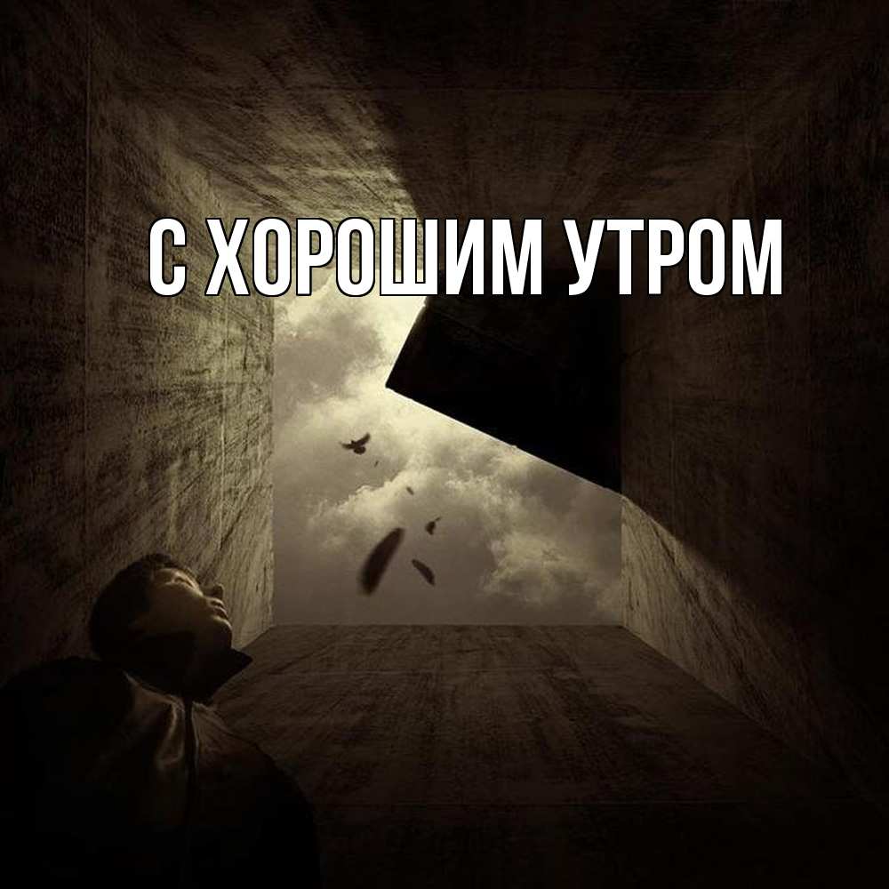 Открытка на каждый день с именем, Нестор Скучашки тут Прикольная открытка с пожеланием онлайн скачать бесплатно 