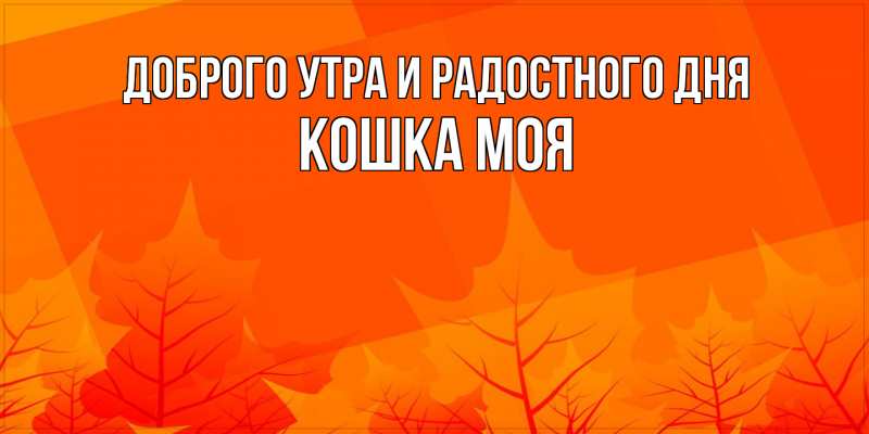 Картинка Доброго утра и радостного дня, Кошка моя