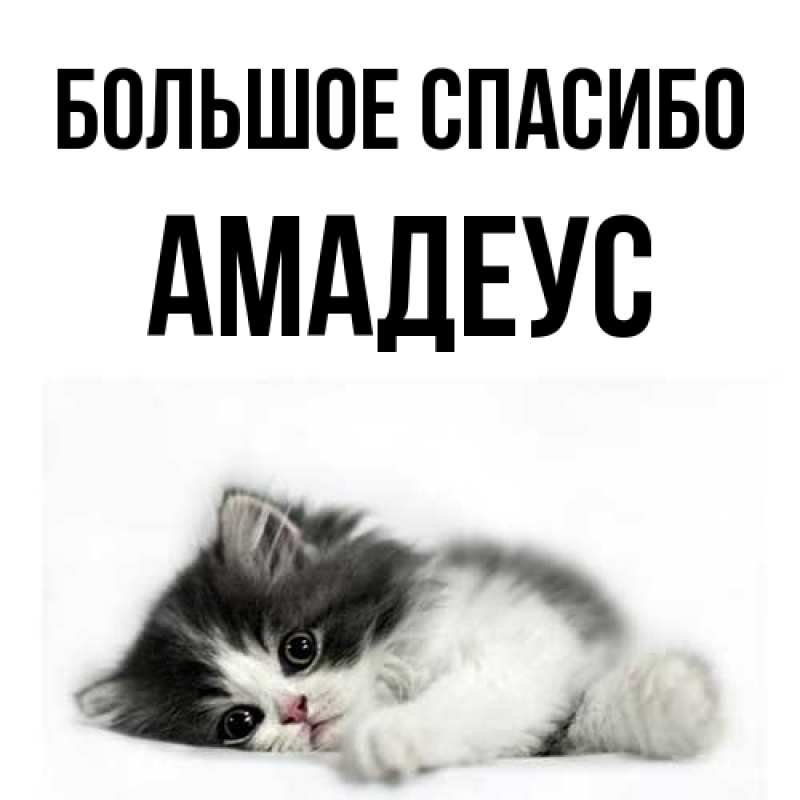 Открытка с именем, Амадеус, Большое спасибо