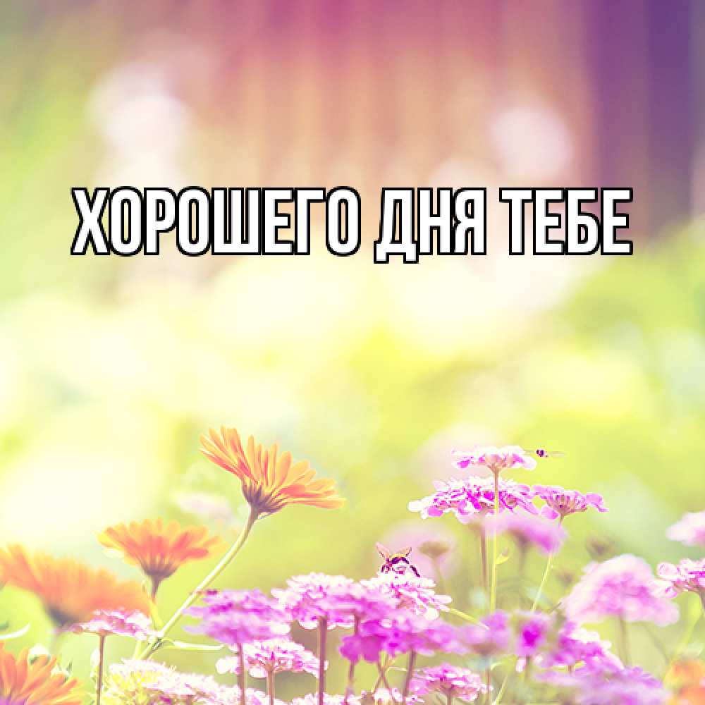Открытка на каждый день с именем, Гордон Люблю тебя цветы весна Прикольная открытка с пожеланием онлайн скачать бесплатно 