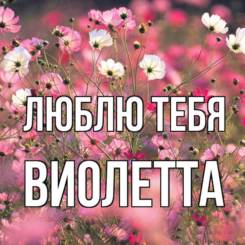 Картинка Люблю тебя, Виолетта