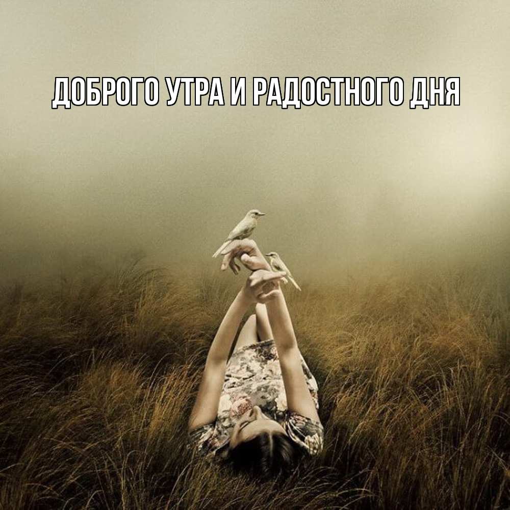 Открытка на каждый день с именем, Ия Не грусти все будет хорошо поле и туман Прикольная открытка с пожеланием онлайн скачать бесплатно 