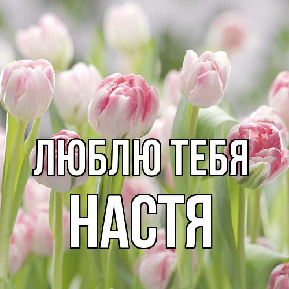 Открытка на каждый день с именем, Настя Люблю тебя цветы Прикольная открытка с пожеланием онлайн скачать бесплатно 