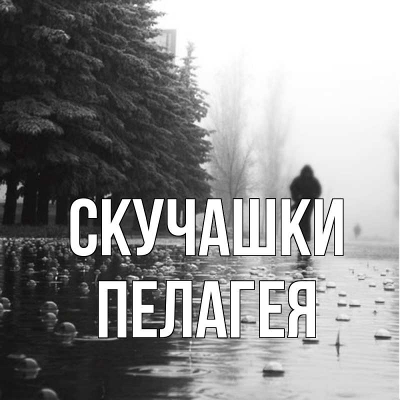 Картинка Скучашки, Пелагея