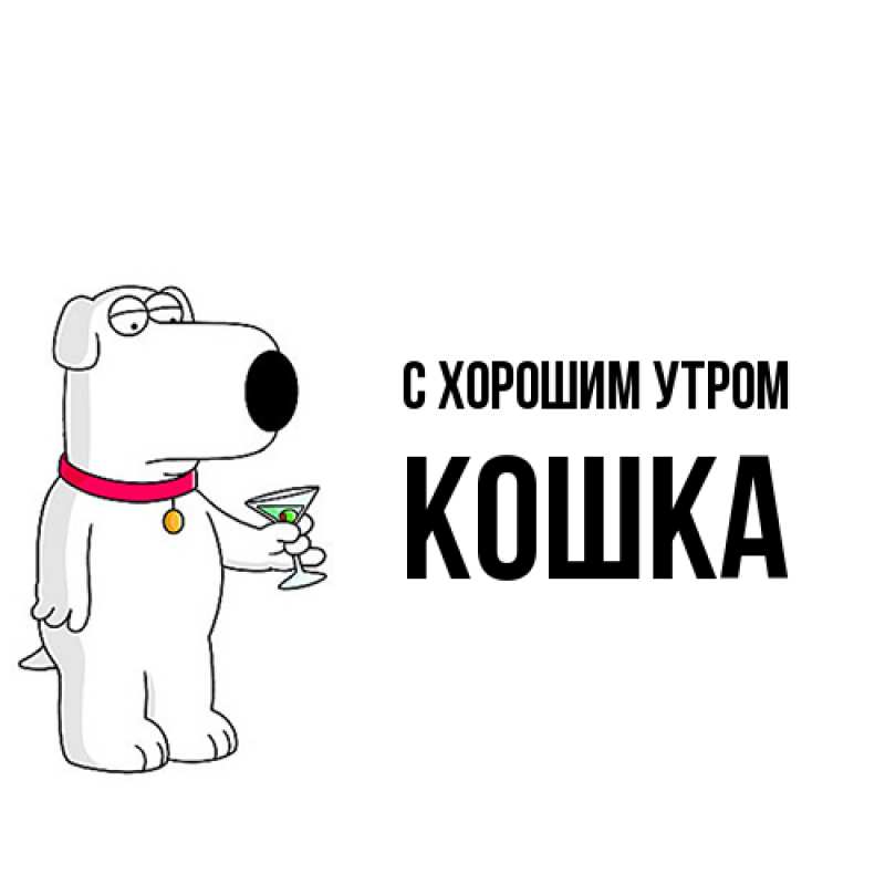 Картинка С хорошим утром, Кошка