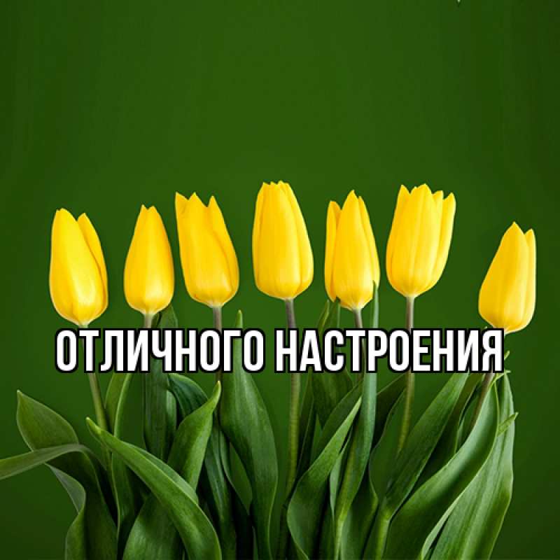 Картинка Люблю тебя, Габриэлла
