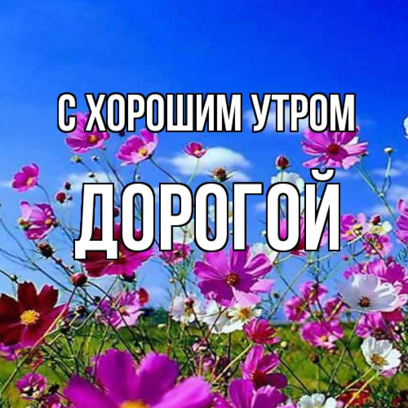 Картинка С хорошим утром, Дорогой