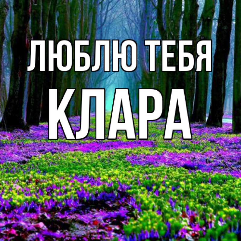 Картинка Люблю тебя, Клара