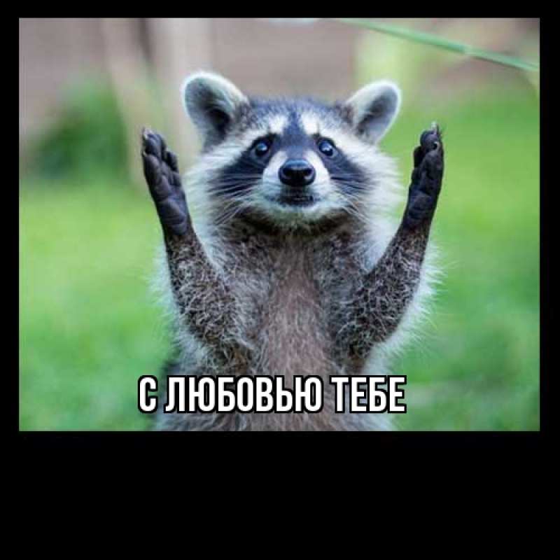 Картинка Как дела, Света