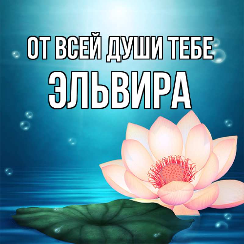 Картинка От всей души тебе, Эльвира