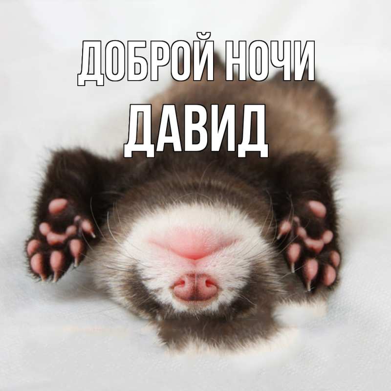 Картинка Доброй ночи, Давид