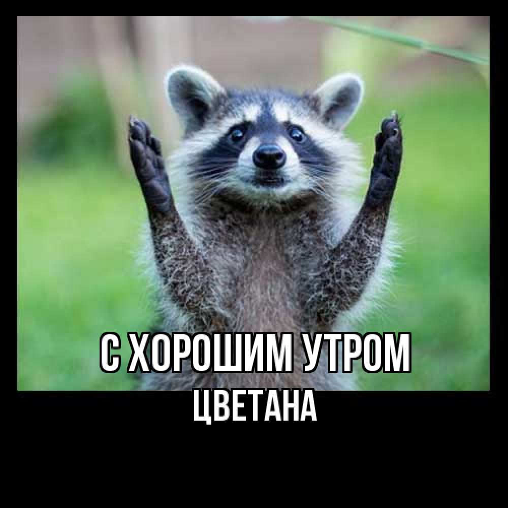 Открытка на каждый день с именем, Цветана С хорошим утром хорошее настроение утречком Прикольная открытка с пожеланием онлайн скачать бесплатно 