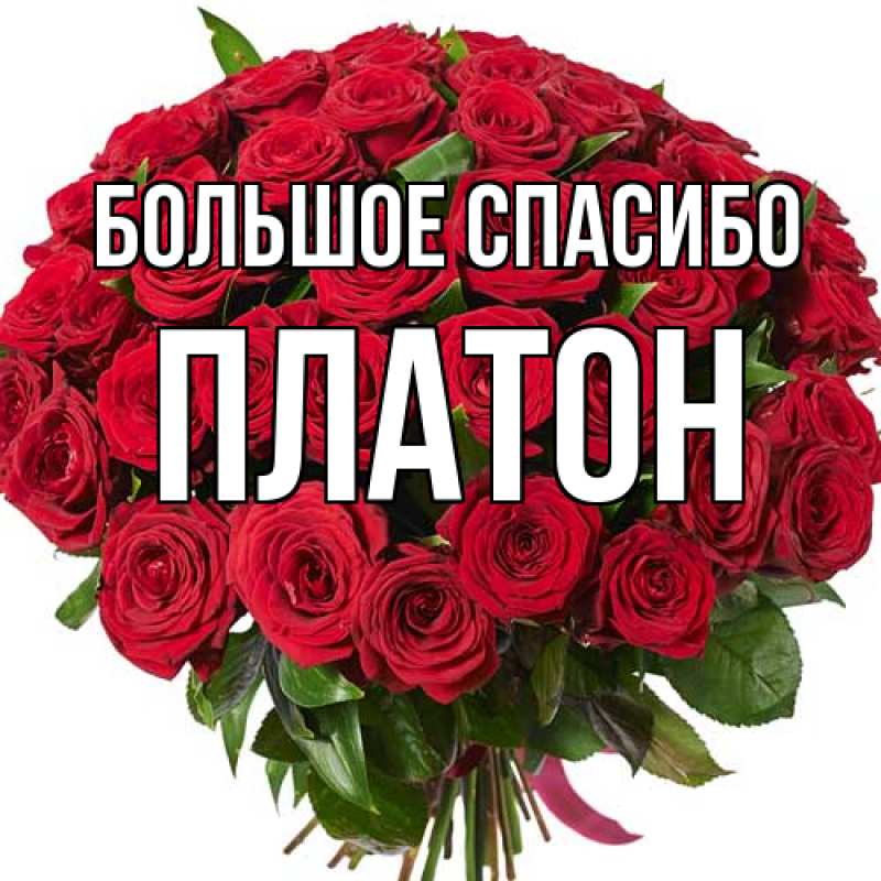 Открытка с именем, Платон, Большое спасибо