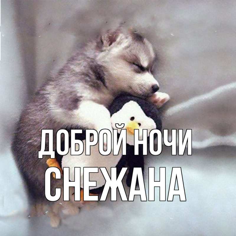 Картинка Доброй ночи, Снежана
