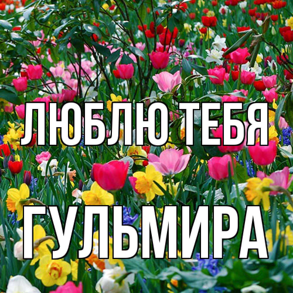 Открытка на каждый день с именем, Гульмира Люблю тебя с международным женским днем поздравления для женщины Прикольная открытка с пожеланием онлайн скачать бесплатно 