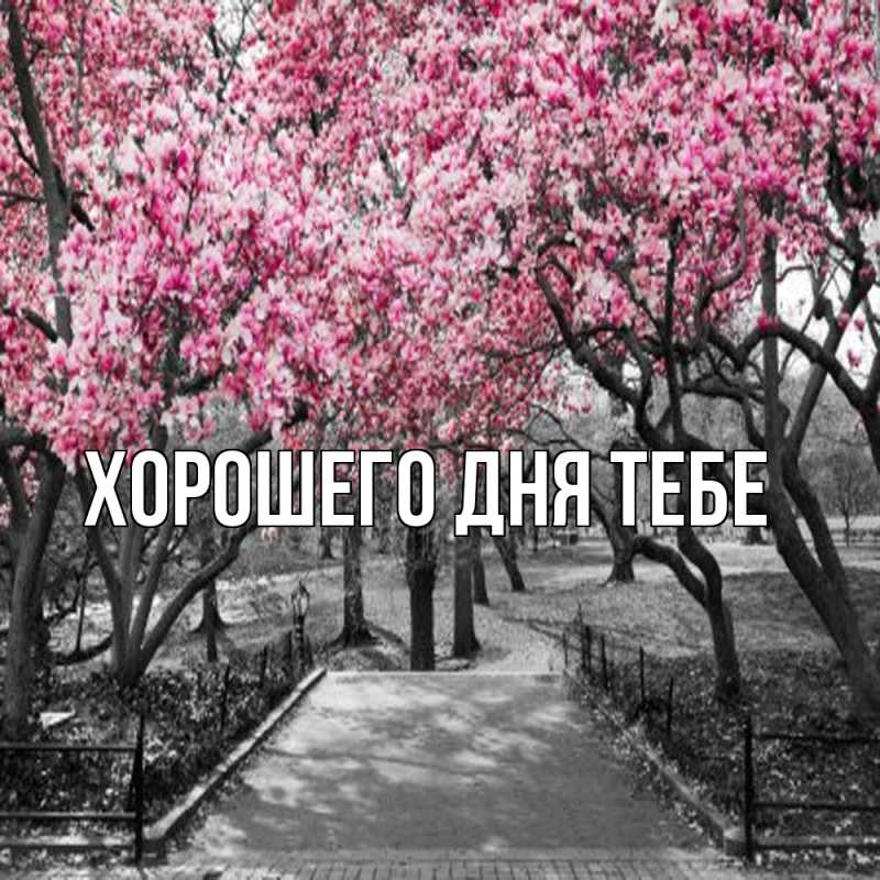 Картинка Обнимашки, Зигмунд