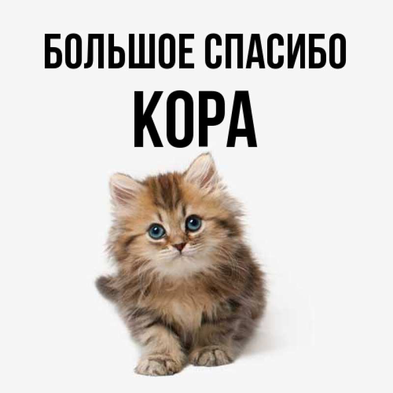 Картинка Большое спасибо, Кора