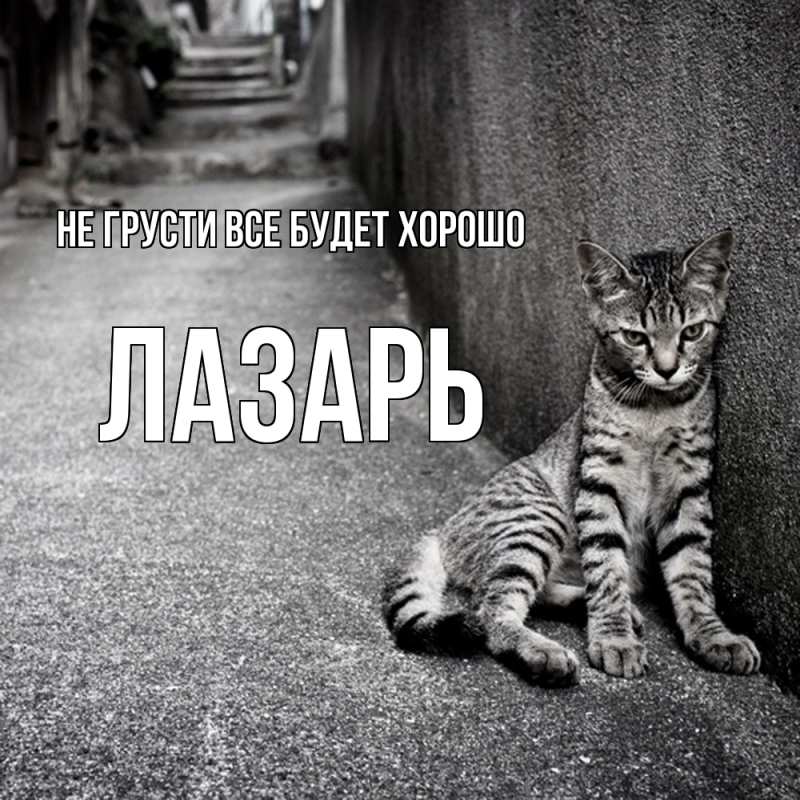 Картинка Не грусти, все будет хорошо, Лазарь