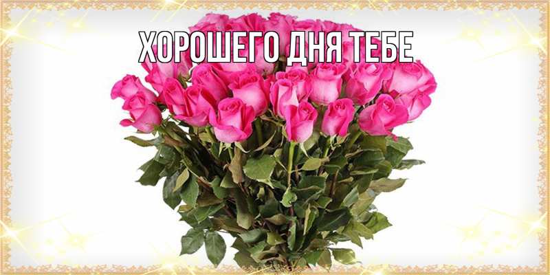 Картинка Люблю тебя, Стелла