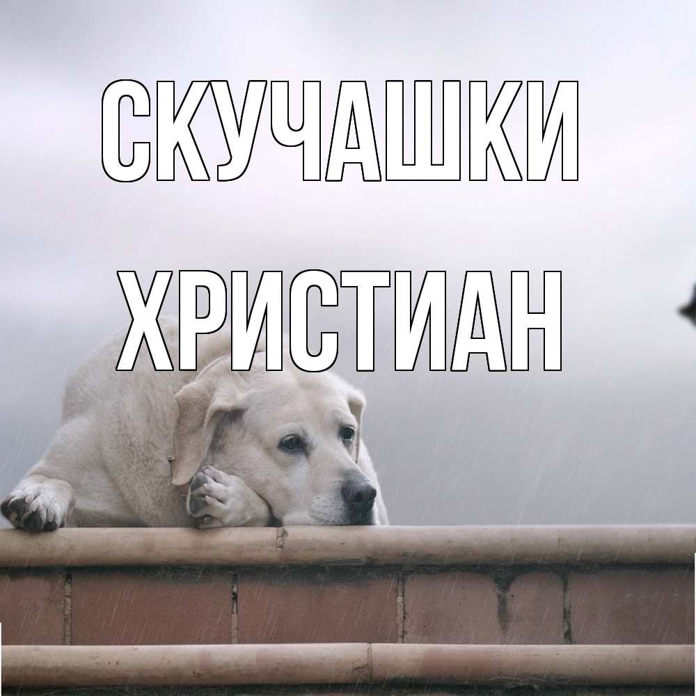 Открытка на каждый день с именем, Христиан Скучашки ждет Прикольная открытка с пожеланием онлайн скачать бесплатно 
