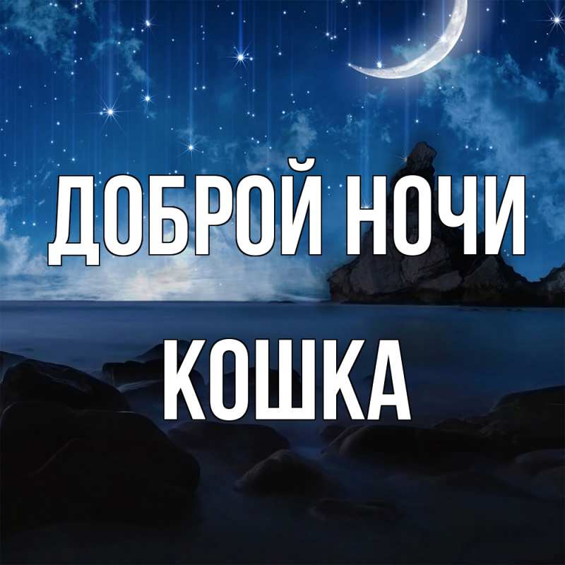 Картинка Доброй ночи, Кошка