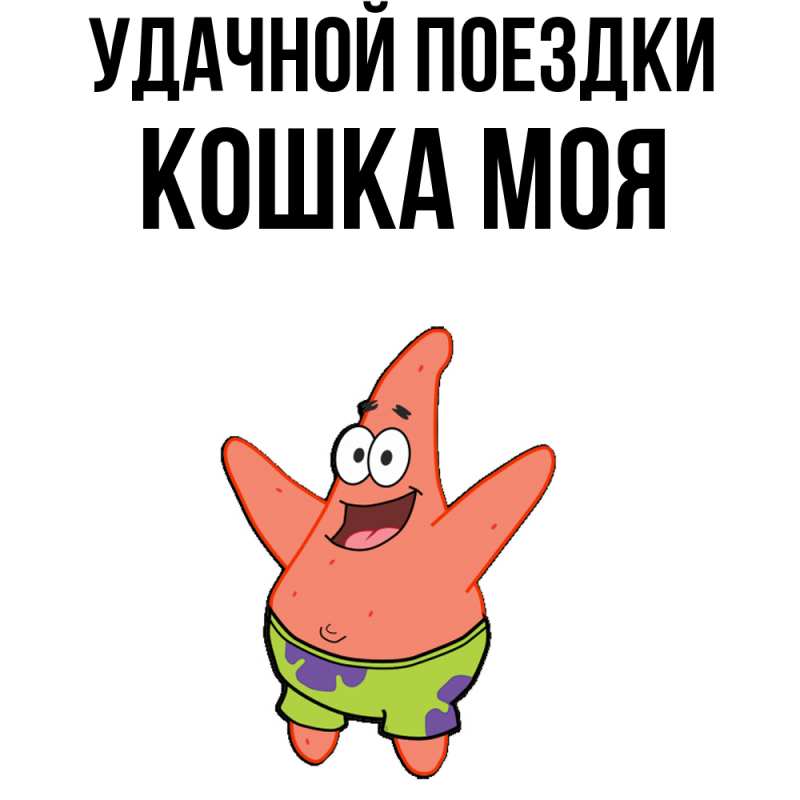 Картинка Удачной поездки, Кошка моя