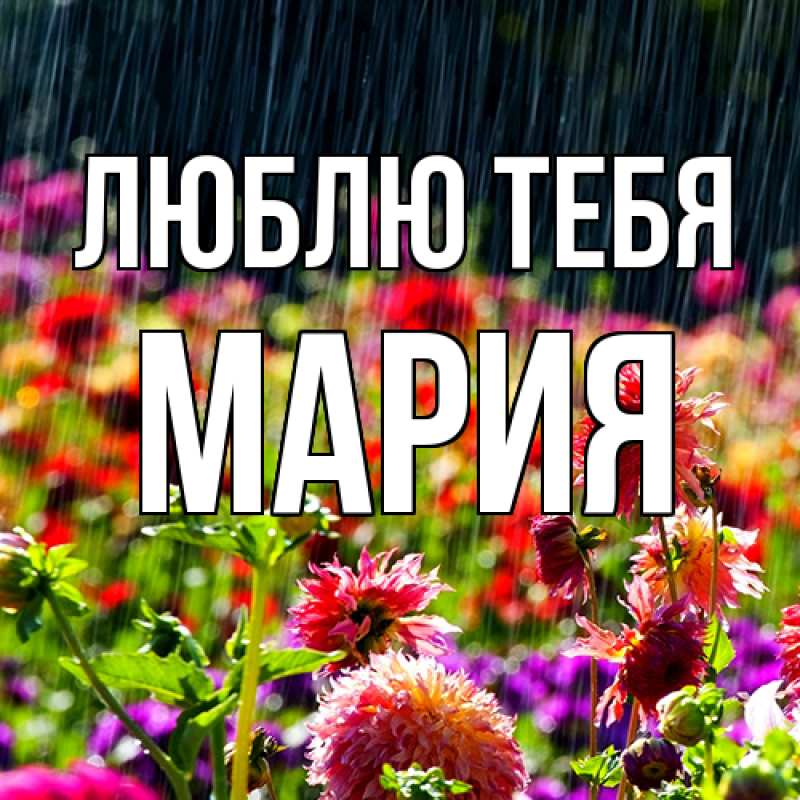 Картинка Люблю тебя, Мария