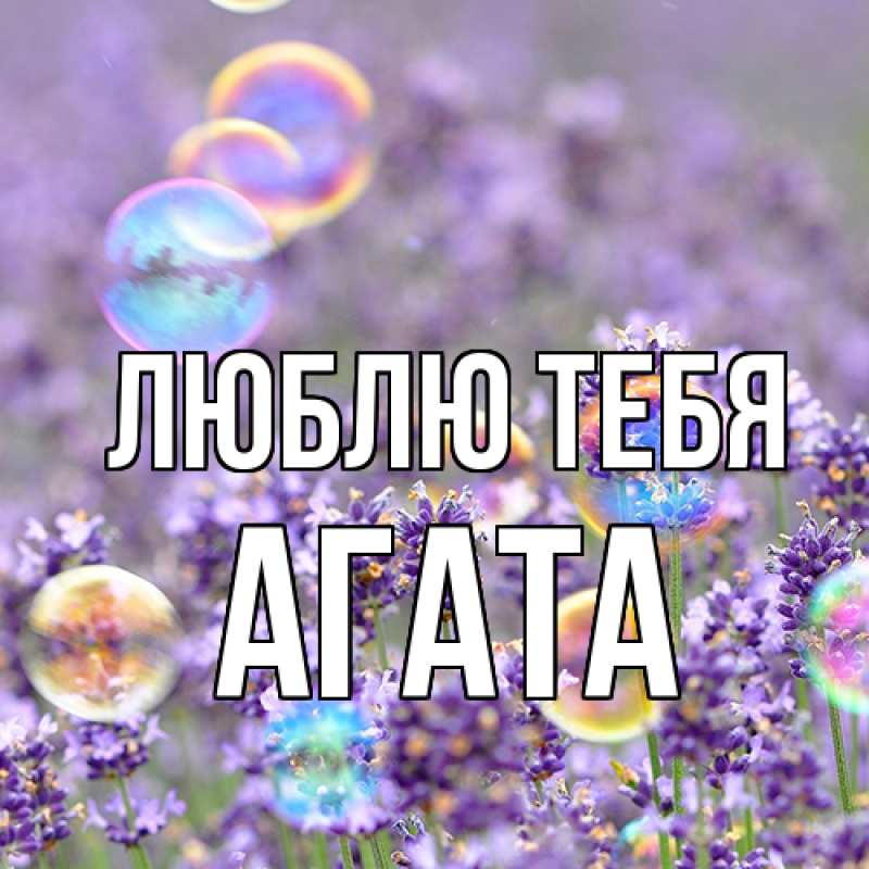 Картинка Люблю тебя, Агата