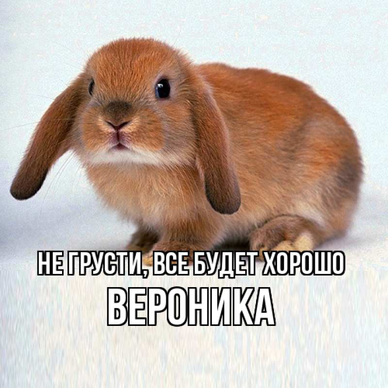 Картинка Не грусти, все будет хорошо, Вероника